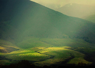 免费呼叫轰炸神器ios